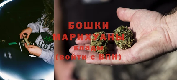 ешки Ельня