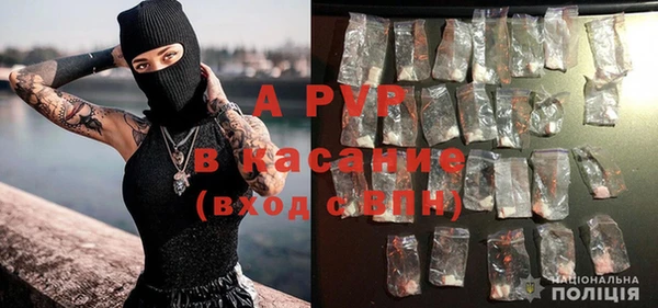 ешки Ельня