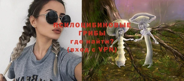 ешки Ельня