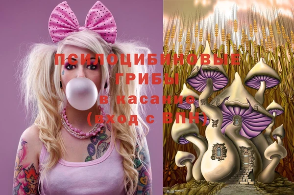 apvp Елизово