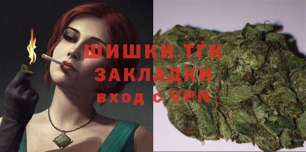 ешки Ельня
